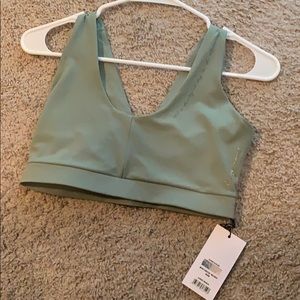 Whitney Simmons sports bra